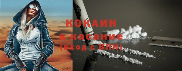 молекула духа Карпинск