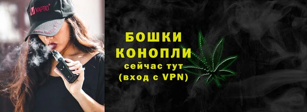 гидра Киренск