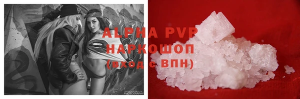 молекула духа Карпинск