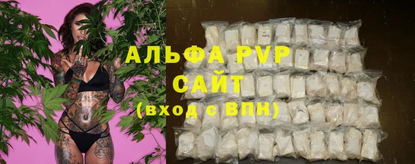 молекула духа Карпинск