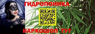 стаф Абакан