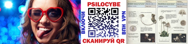 Галлюциногенные грибы мицелий  Абакан 