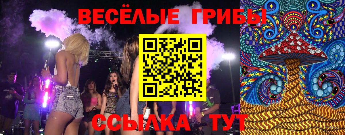 Псилоцибиновые грибы MAGIC MUSHROOMS Абакан