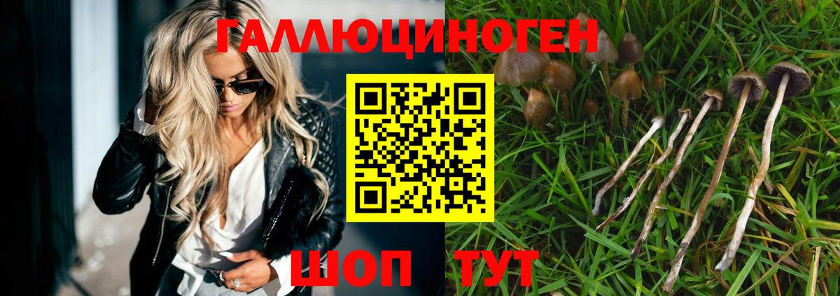 Экстази  Каннабис  Меф   Абакан  ГАШ  Вход с VPN  Гашиш  A PVP СК кристаллы  Марихуана 