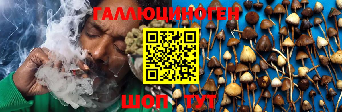 Галлюциногенные грибы Magic Shrooms  Вход с VPN  Абакан 